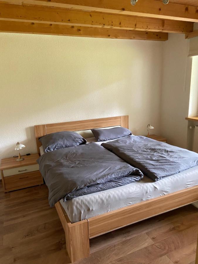 Ferienwohnung Im Herzen Graubuendens Surava Eksteriør billede
